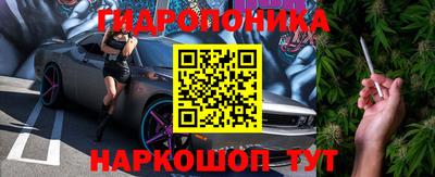 альфа пвп Аргун