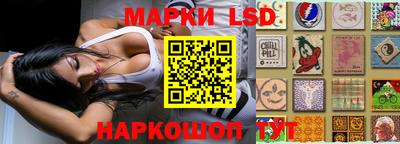 альфа пвп Аргун