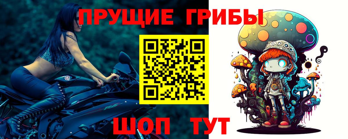 Галлюциногенные грибы GOLDEN TEACHER  Вход с VPN  Псилоцибиновые грибы мухоморы  закладка  Выборг 